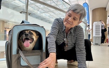 Lần đầu tiên ở TP.HCM, thú cưng được vào trung tâm thương mại vui chơi