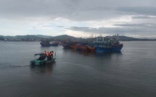 Quảng Trị tổng lực ứng phó bão số 5, bảo vệ tàu thuyền, sản xuất