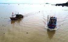 Tàu thuyền nối đuôi nhau đi tránh bão Kajiki