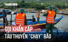 Đà Nẵng bắn pháo hiệu khẩn cấp, gấp rút kêu gọi tàu thuyền 'chạy' bão
