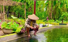 Bỏ phố về quê sau biến cố, chàng trai tạo dựng khu vườn trồng rau nuôi cá