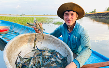 Lũ sông Mekong lên nhanh vì bão số 5