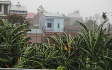 Bão số 5: Nghệ An đang có gió giật kèm mưa lớn