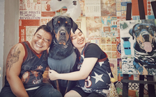 Hôm nay 26.8 là ngày quốc tế về loài chó: Nguồn gốc của ngày này từ đâu?