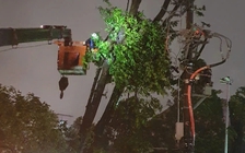 Thanh Hóa: Gần 334.000 hộ mất điện do mưa bão