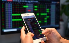 Nhóm cổ phiếu Vingroup lên cao, tài sản tỉ phú Phạm Nhật Vượng đạt kỷ lục