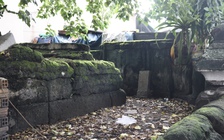 Mộ cổ gần 2 thế kỷ ở TP.HCM: Chứng tích viên quan Hàn lâm viện triều Nguyễn