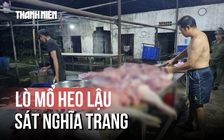 Theo dấu lò mổ heo lậu sát nghĩa trang: Chủ lò mổ nói gì?