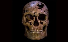 Giải mã bộ hài cốt 12.000 năm tuổi ở Ninh Bình