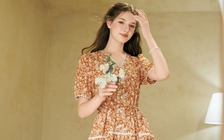 Gam màu nâu trong veo, đẹp ngây ngất giữa trời thu