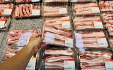 Giá heo hơi hôm nay 30.8.2025: Chờ tín hiệu mới