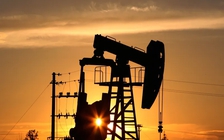 Giá xăng dầu hôm nay 29.8.2025: Biến động sau thông tin Nga tấn công Ukraine trong đêm