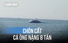 Cận cảnh Cá Ông nặng 8 tấn lụy ở vùng biển Lâm Đồng