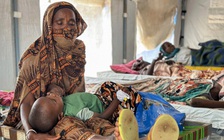 WHO cảnh báo tình hình dịch tả toàn cầu