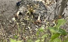 Người dân câu cá phát hiện thi thể chỉ còn bộ xương ven kênh Xáng ở TP.HCM