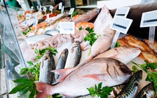 Xuất khẩu thủy sản sang Mỹ lại gặp khó