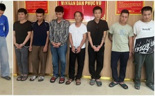 Bắt 8 nghi phạm mang kiếm, kích điện thực hiện 50 vụ trộm chó