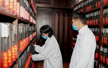 Trích dẫn sai tài liệu lưu trữ có thể bị phạt đến 30 triệu đồng