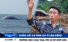 Xem nhanh 12h: Chôn cất cá Ông lụy ở Lâm Đồng | Trưởng bản chạy đua với lũ dữ giúp dân