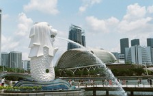 Chìa khóa vàng cho trung tâm tài chính Việt Nam: Bài học từ Singapore và Hồng Kông