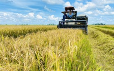 Tin tức đặc biệt trên báo in Thanh Niên 6.8.2025