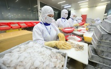 Xuất khẩu thủy sản có thể phải điều chỉnh kim ngạch do chính sách thuế của Mỹ 