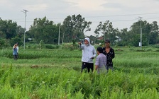 Gia Lai họp bàn đẩy nhanh hai đại dự án đi qua địa bàn tỉnh