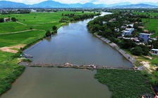 Tiền tỉ 'đổ sông' mỗi năm vì... đập ngăn mặn