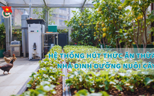 Cùng sống xanh số 119: Có một hệ thống hút thức ăn thừa, nhả dinh dưỡng nuôi cây trên sân thượng