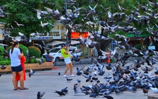 Ngày thứ ba kỳ nghỉ tết Độc lập 2.9: Bất ngờ đường phố trung tâm TP.HCM