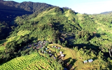 'Phu sâm' ở núi Ngọc Linh