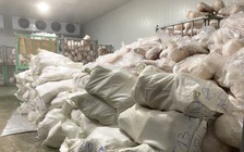 Gia Lai: Phạt 90 triệu đồng cơ sở trữ 100 tấn thịt heo không rõ nguồn gốc