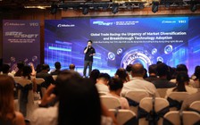 Hàng Việt vươn ra biển lớn nhờ thương mại điện tử