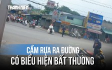Khống chế người cầm rựa định tấn công thanh niên xung phong
