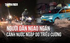 Người dân ngao ngán cảnh nước ngập do triều cường: ‘Nhiều năm qua nước ngập càng tăng’