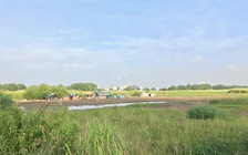 TP.HCM lập tổ công tác thực hiện Nghị quyết 171