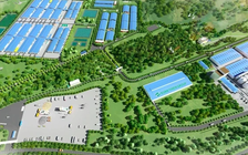 Chính phủ ủng hộ đề xuất nuôi lợn trong nhà cao tầng