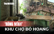 Chợ 'tiền tỉ' hóa 'chợ ma', người dân ngậm ngùi lãng phí không gian sống