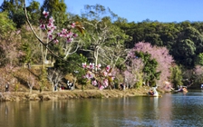 Đưa Măng Đen thành trung tâm nghỉ dưỡng thiên nhiên của Việt Nam