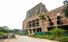 'Chết yểu' trên 'đất vàng'