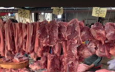 Giá heo hơi hôm nay 15.9.2025: Đi ngang chờ động lực mới