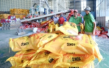 Giá lúa gạo đã tăng trở lại