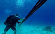 Tốc độ internet Việt Nam tăng vượt bậc, nhanh hơn Trung Quốc