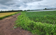 Tây Ninh: Kiến nghị thu hồi giấy phép kinh doanh của Công ty Vĩnh Hằng