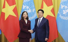 LHQ luôn là người bạn gắn bó với VN trên chặng đường phát triển