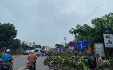 Quyết liệt di dời 'chợ chuối' Tân Long sau vụ tai nạn đặc biệt nghiêm trọng