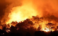 Khói cháy rừng có thể giết chết 1,4 triệu người mỗi năm vào cuối thế kỷ 21