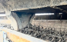 Vụ cháy gầm cầu Vĩnh Tuy: Bộ Xây dựng quyết dẹp trông giữ xe gầm cầu