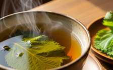 Nhiều lợi ích từ trà lá tía tô