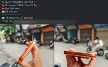 Bán iPhone 17 sớm, người Việt vẫn phải mua giá như thời xách tay